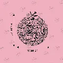 COLOR (18).webp