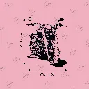 COLOR (7).webp