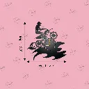 COLOR (14).webp
