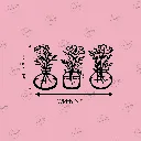 COLOR (25).webp