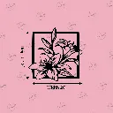 COLOR (28).webp