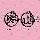 COLOR (31).webp